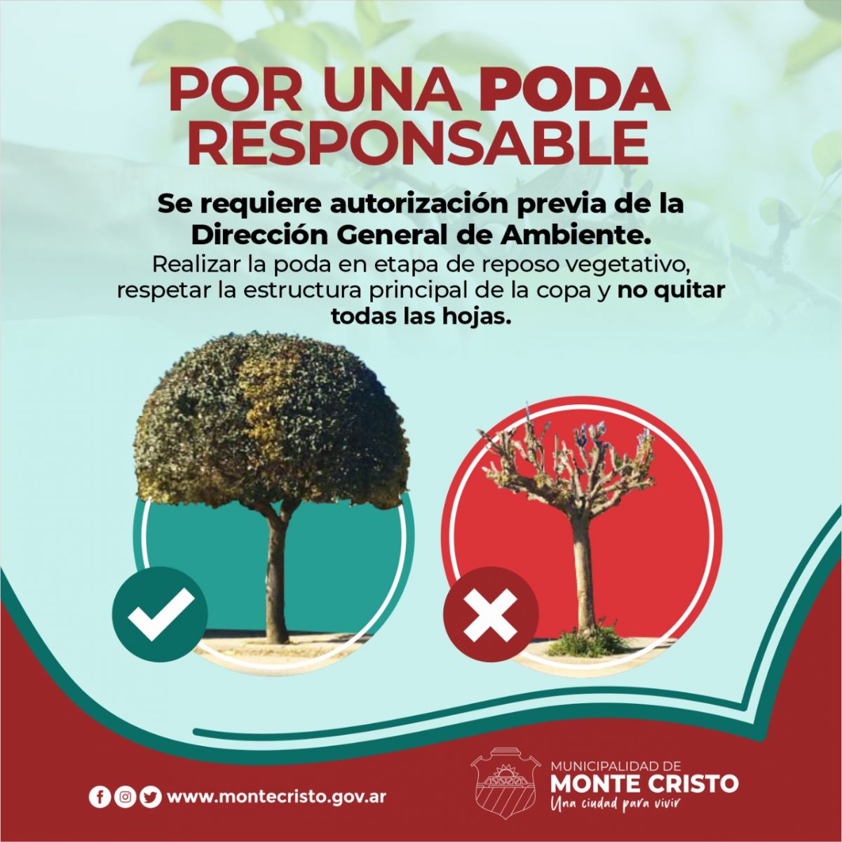 Forestación y Arbolado Urbano - Municipalidad de Monte Cristo