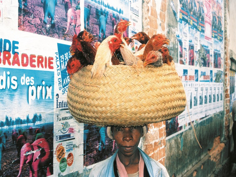 Monte Cristo inaugura la muestra fotográfica “La vuelta al mundo en 80 fotos”
